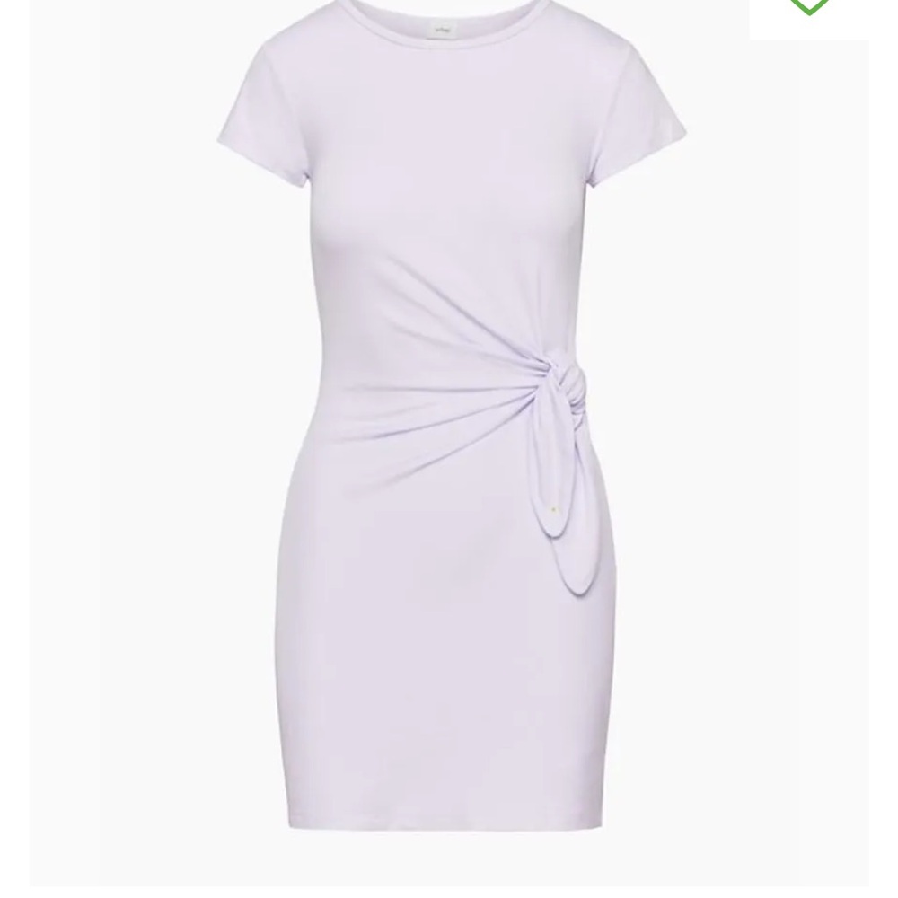 Aritzia Fortune Mini Dress